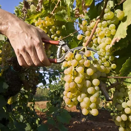 With Terrace, Air Conditioning Gasthof